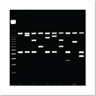 Gel Electrophoresis Fun Posters and Art